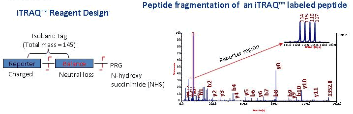 iTRAQ